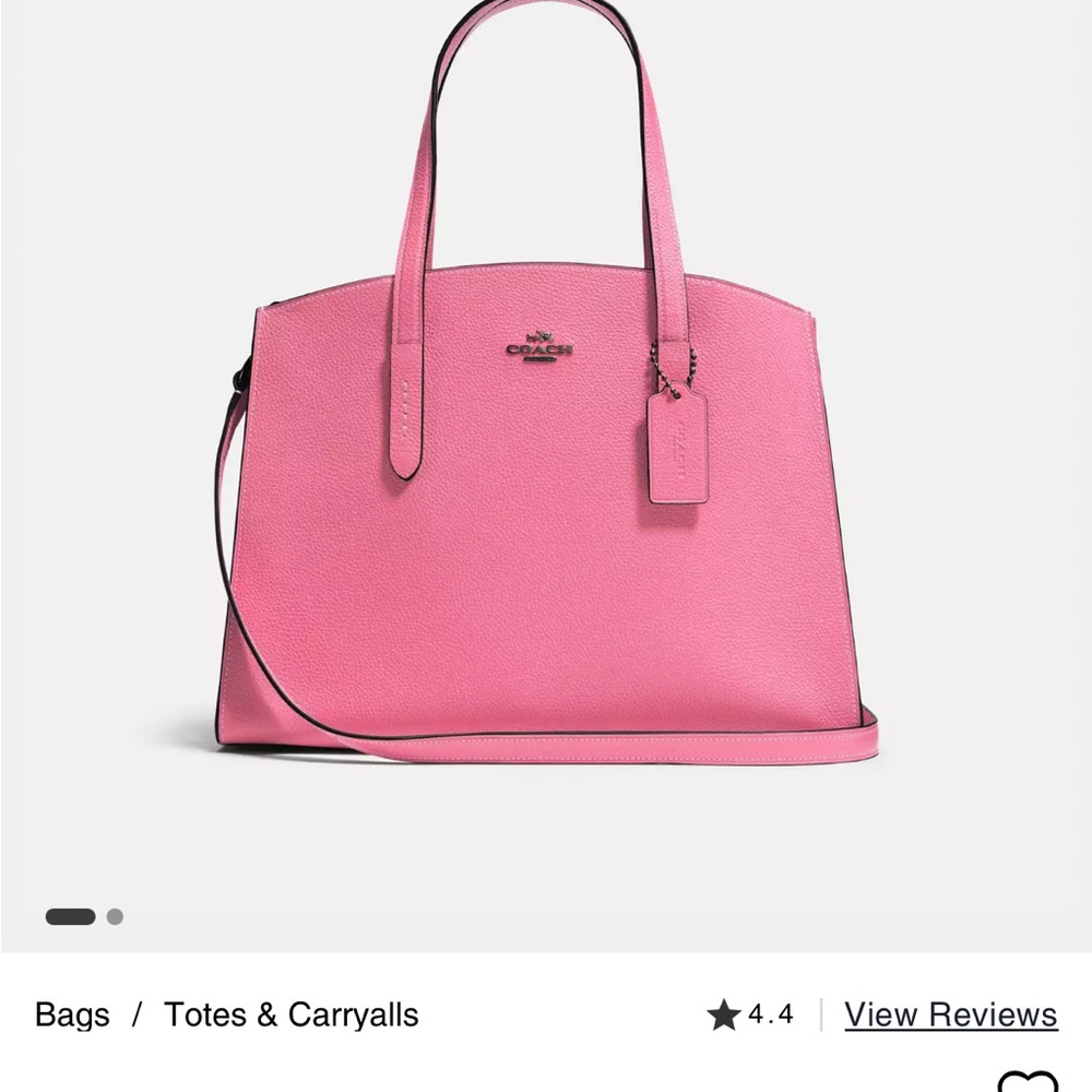 Coach Charlie Carryall